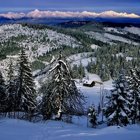 Stara Zvonica 招待所 Nizna Boca